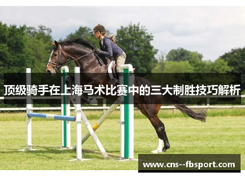顶级骑手在上海马术比赛中的三大制胜技巧解析